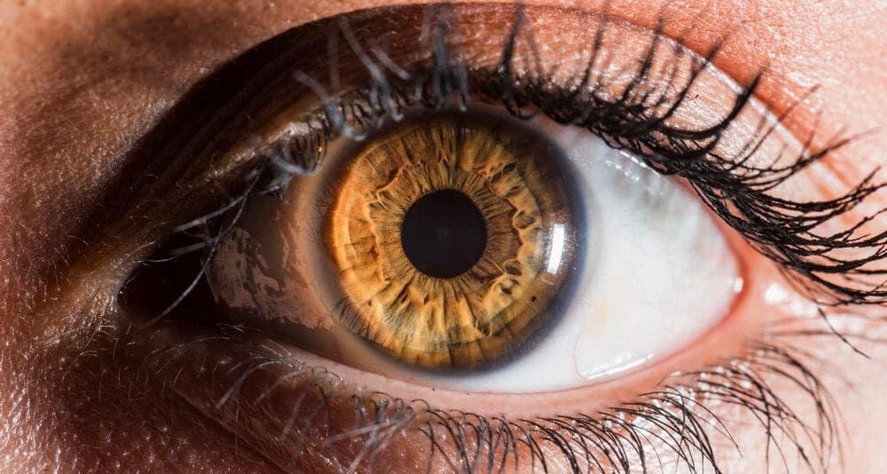 Hazel eyes are somet...