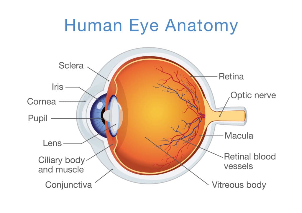 Know why tears are healthy for you - Centre For Sight