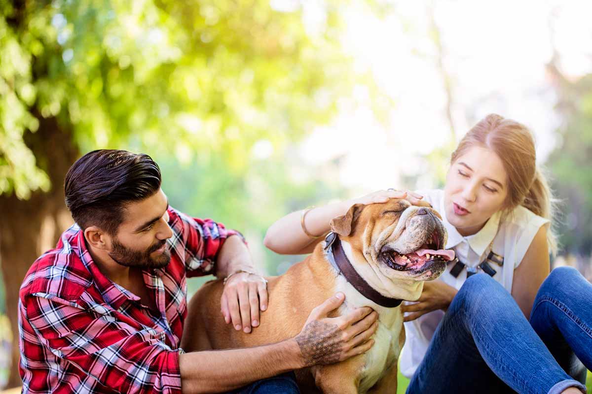 happy people playing with dog