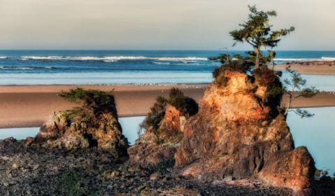 Lincoln City
