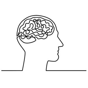 brain representation