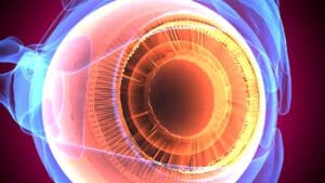 The human eye is an organ which reacts to light and pressure. As a sense organ, the mammalian eye allows vision. Human eyes help provide a three dimensional, moving image, normally coloured in daylight.