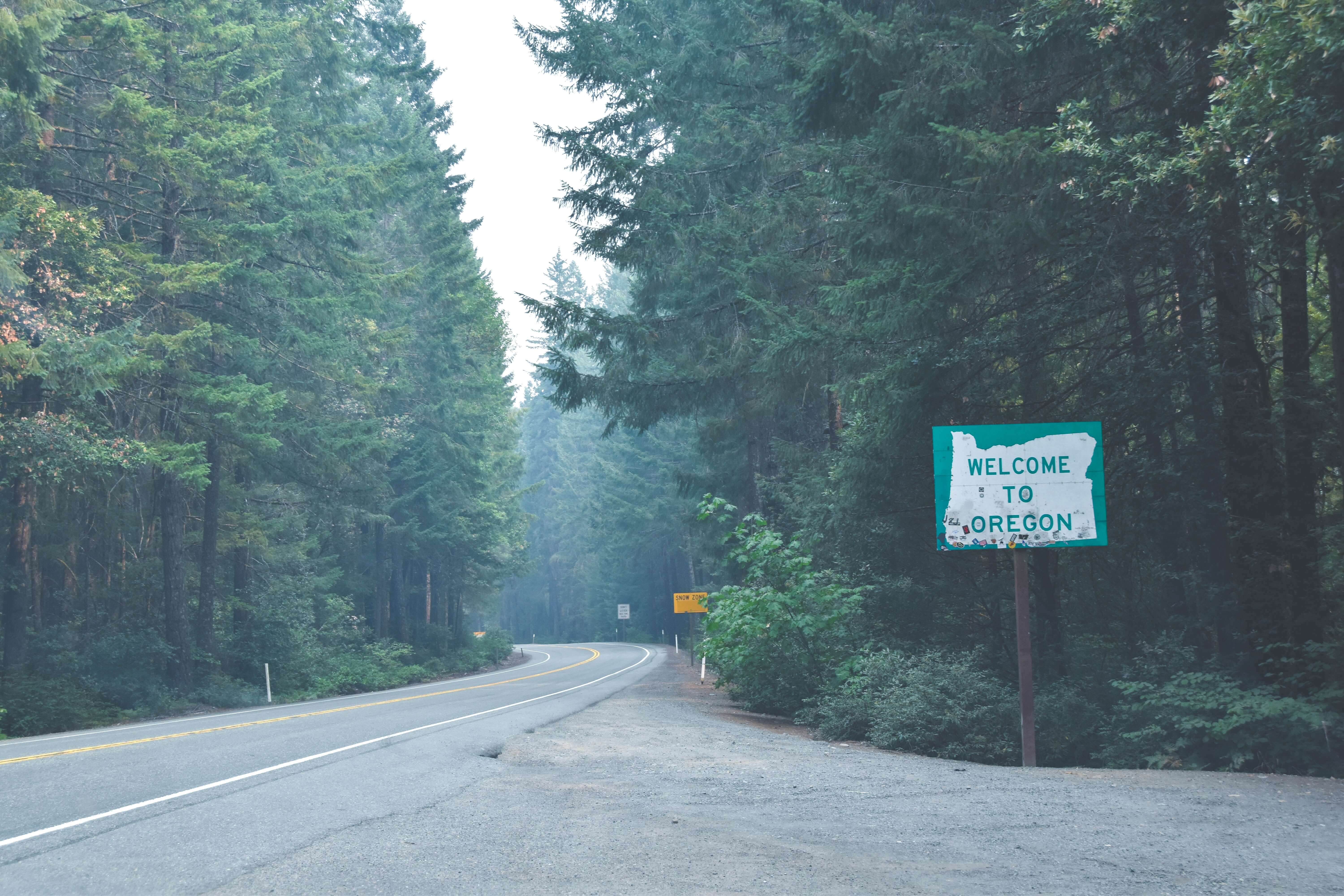 oregon driving study book oregon driving study book