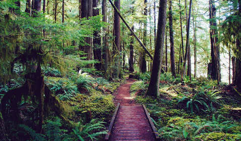 Roseburg