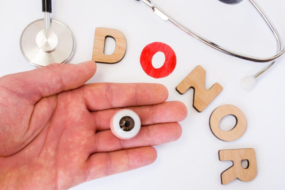 What Is an Eye Transplant? (& How Does it Work?) NVISION Eye Centers