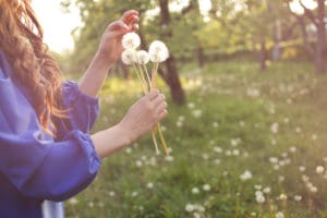 woman holding dandelions